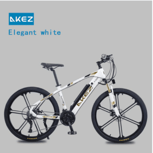 Ebike,  electric bike