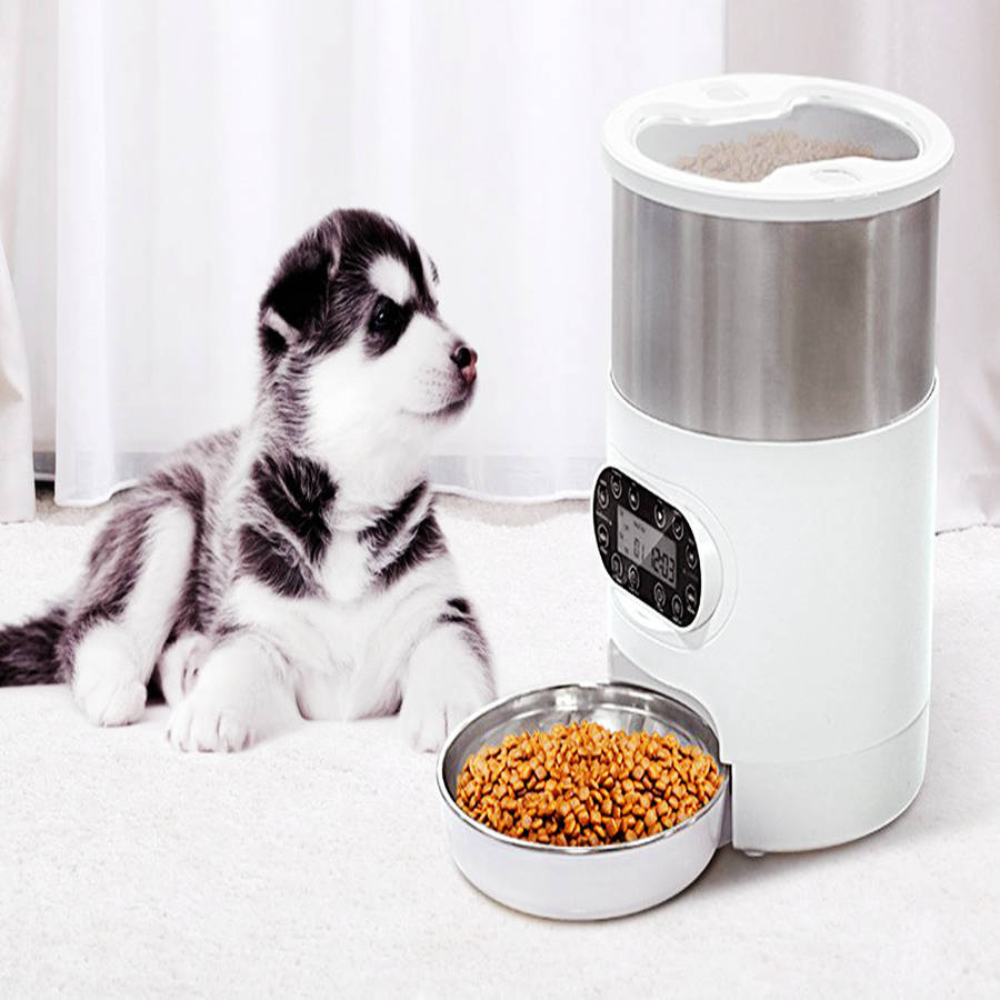 pet timed feeder